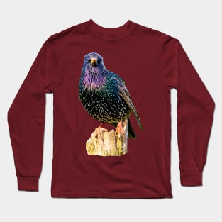 Starling Long Sleeve T-Shirt